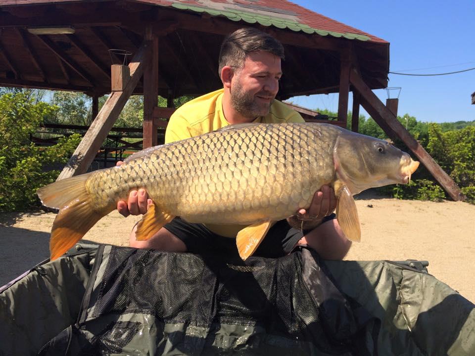 Balastiera Fughiu - Mai 2015 - 176399886167578380207525660963758001376n.jpg